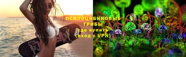 не бодяженный Алзамай