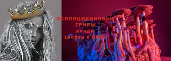 гашик Алексеевка