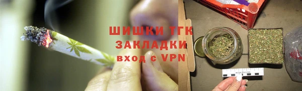 гашик Алексеевка