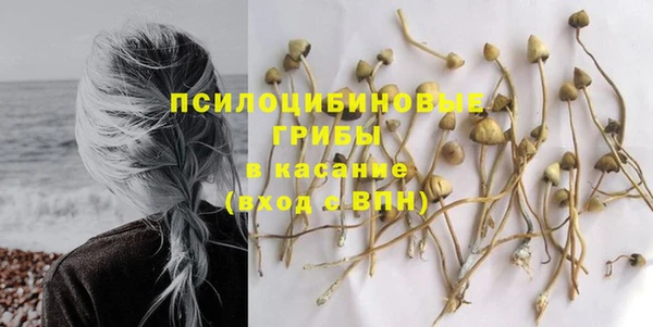 гашик Алексеевка