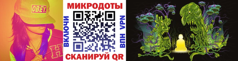 Псилоцибиновые грибы Psilocybe  что такое наркотик  Чаплыгин 