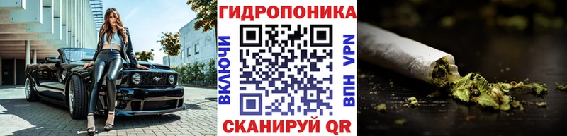OMG онион  Чаплыгин  МАРИХУАНА тримм 
